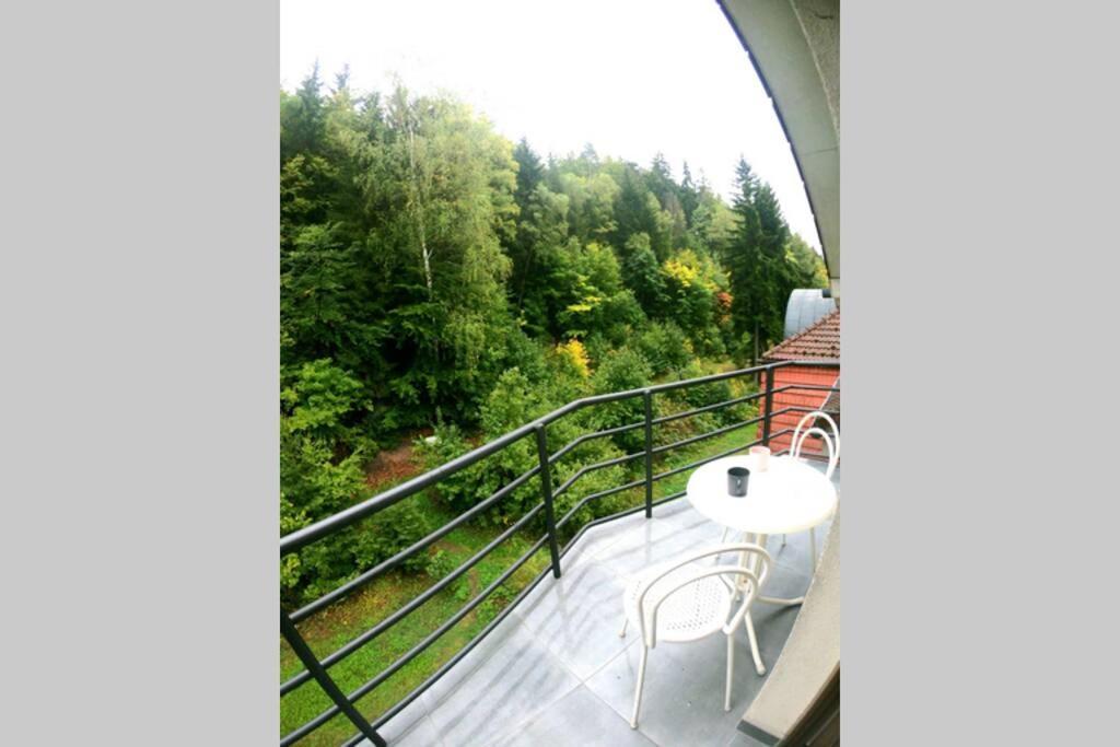 The Mountain Loft Klinovec - With Infrasauna Яхимів Екстер'єр фото