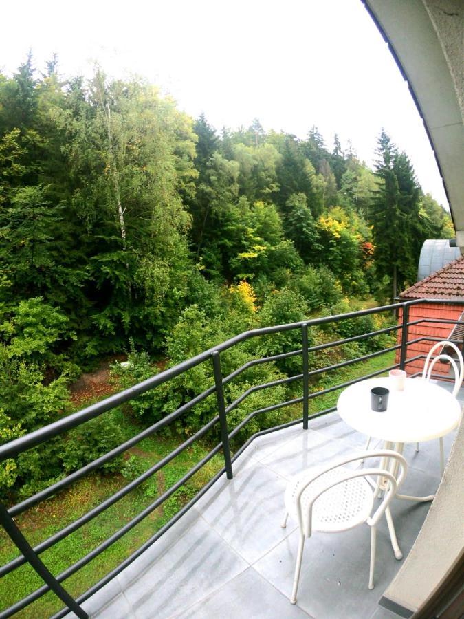 The Mountain Loft Klinovec - With Infrasauna Яхимів Екстер'єр фото